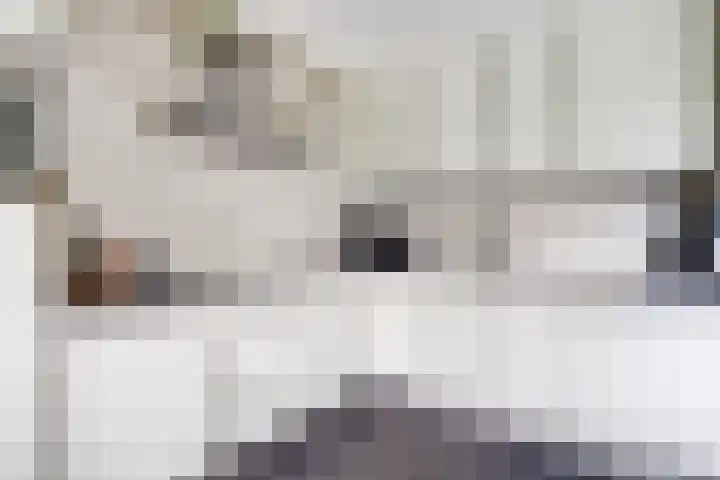 van Slotendreef 25 Rucphen thumbnail 14