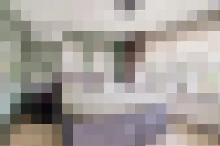 van Slotendreef 25 Rucphen thumbnail 18