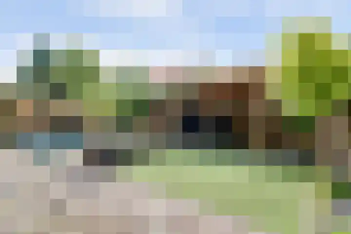 van Slotendreef 25 Rucphen thumbnail 30