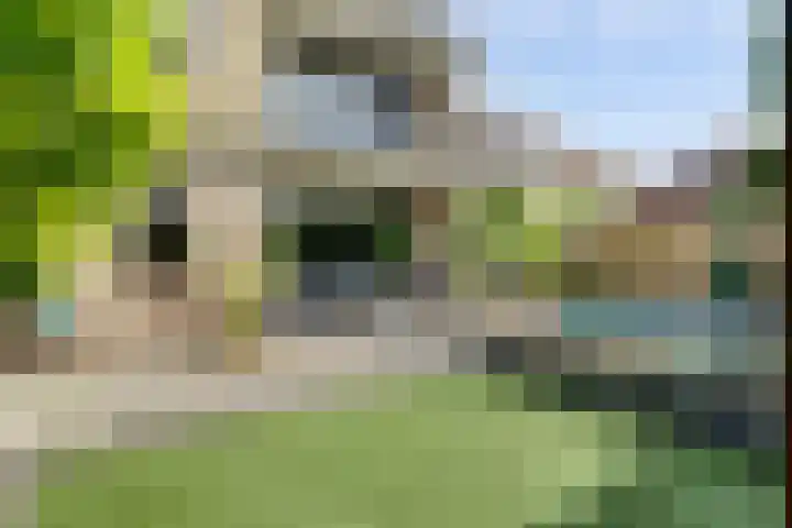 van Slotendreef 25 Rucphen thumbnail 35