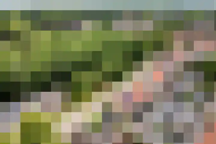 van Slotendreef 25 Rucphen thumbnail 41