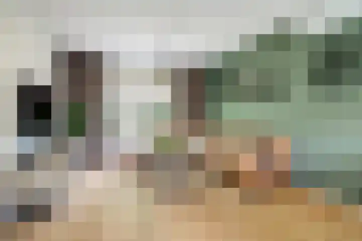 van Slotendreef 25 Rucphen thumbnail 5