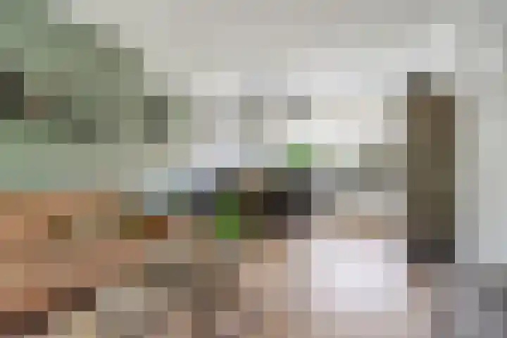 van Slotendreef 25 Rucphen thumbnail 7