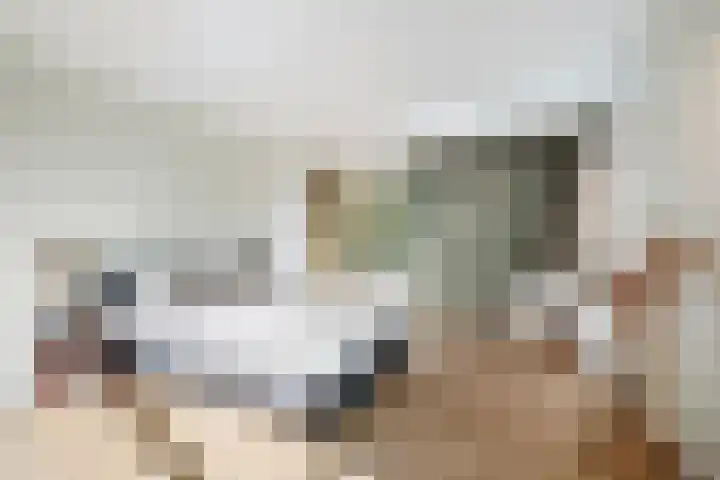 Van Somerenstraat 1 Rotterdam thumbnail 17
