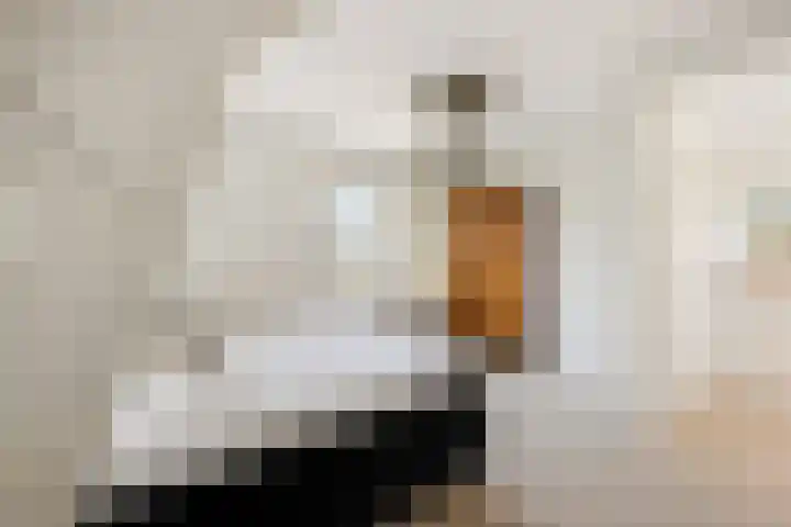 Van Somerenstraat 1 Rotterdam thumbnail 33