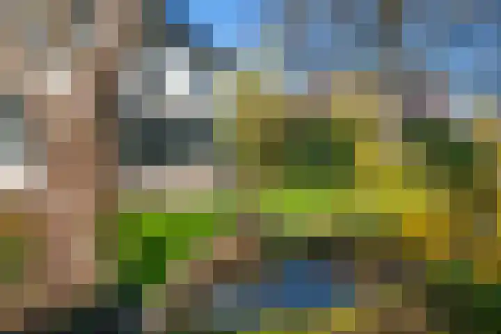 Van Somerenstraat 1 Rotterdam thumbnail 42