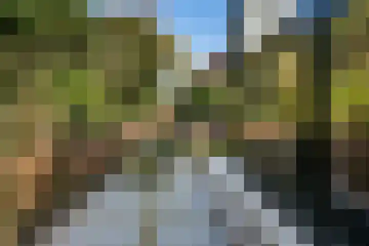 Van Somerenstraat 1 Rotterdam thumbnail 43