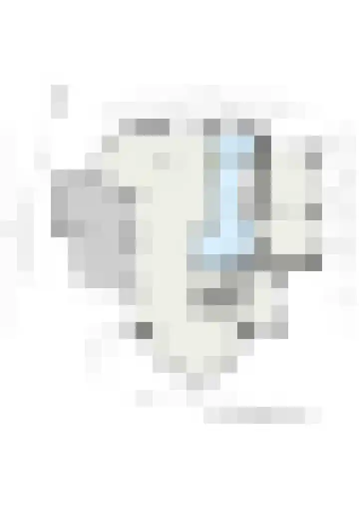 Van Somerenstraat 1 Rotterdam thumbnail 50