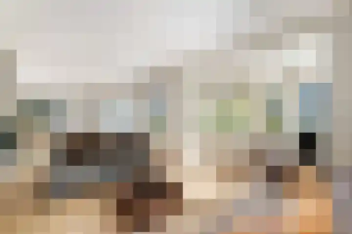 Van Somerenstraat 1 Rotterdam thumbnail 6