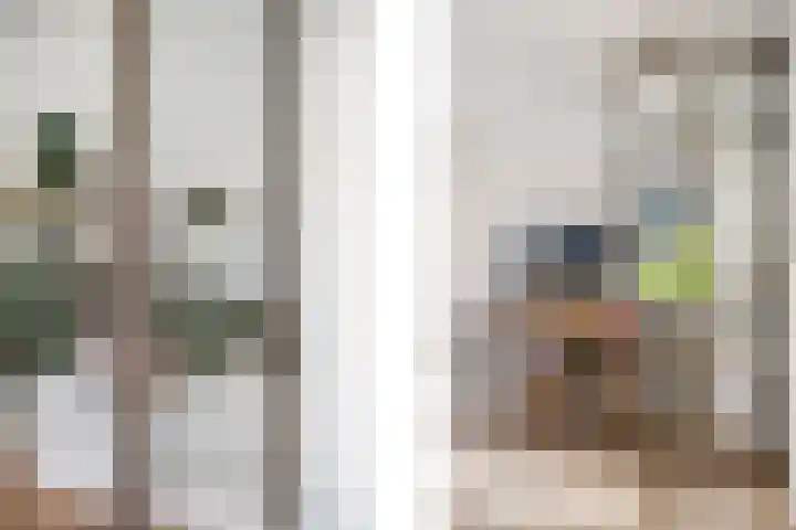Van Somerenstraat 1 Rotterdam thumbnail 8