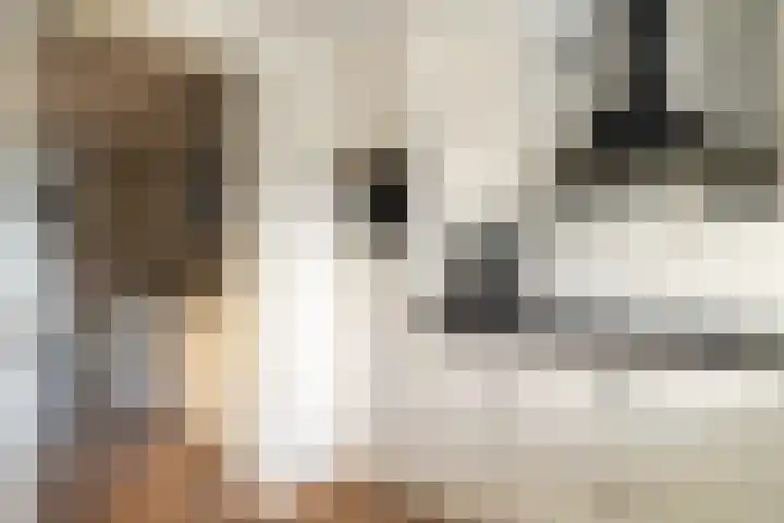Van Speijkstraat 25 Drunen thumbnail 13