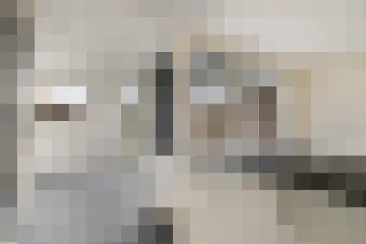 van Speijkstraat 4 Veghel thumbnail 11