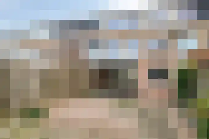 van Speijkstraat 4 Veghel thumbnail 30