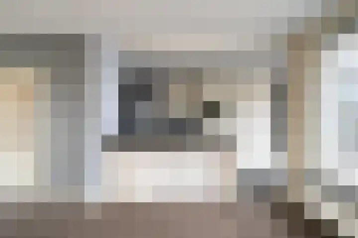 van Speijkstraat 4 Veghel thumbnail 7