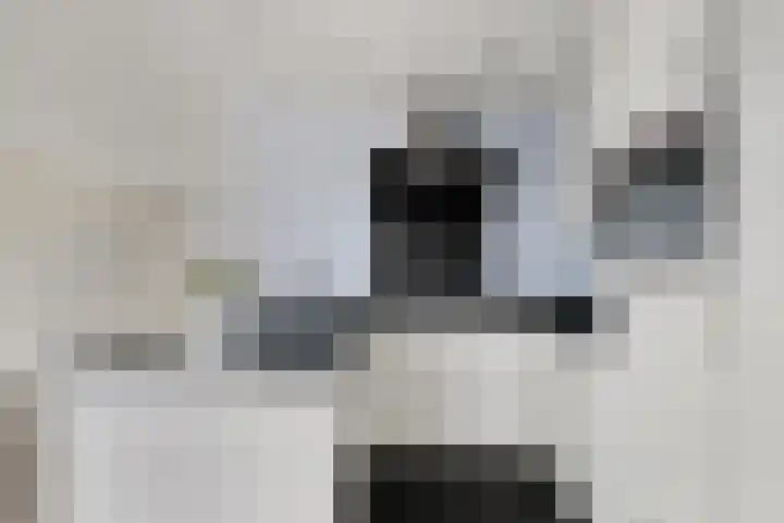 van Speijkstraat 4 Veghel thumbnail 8