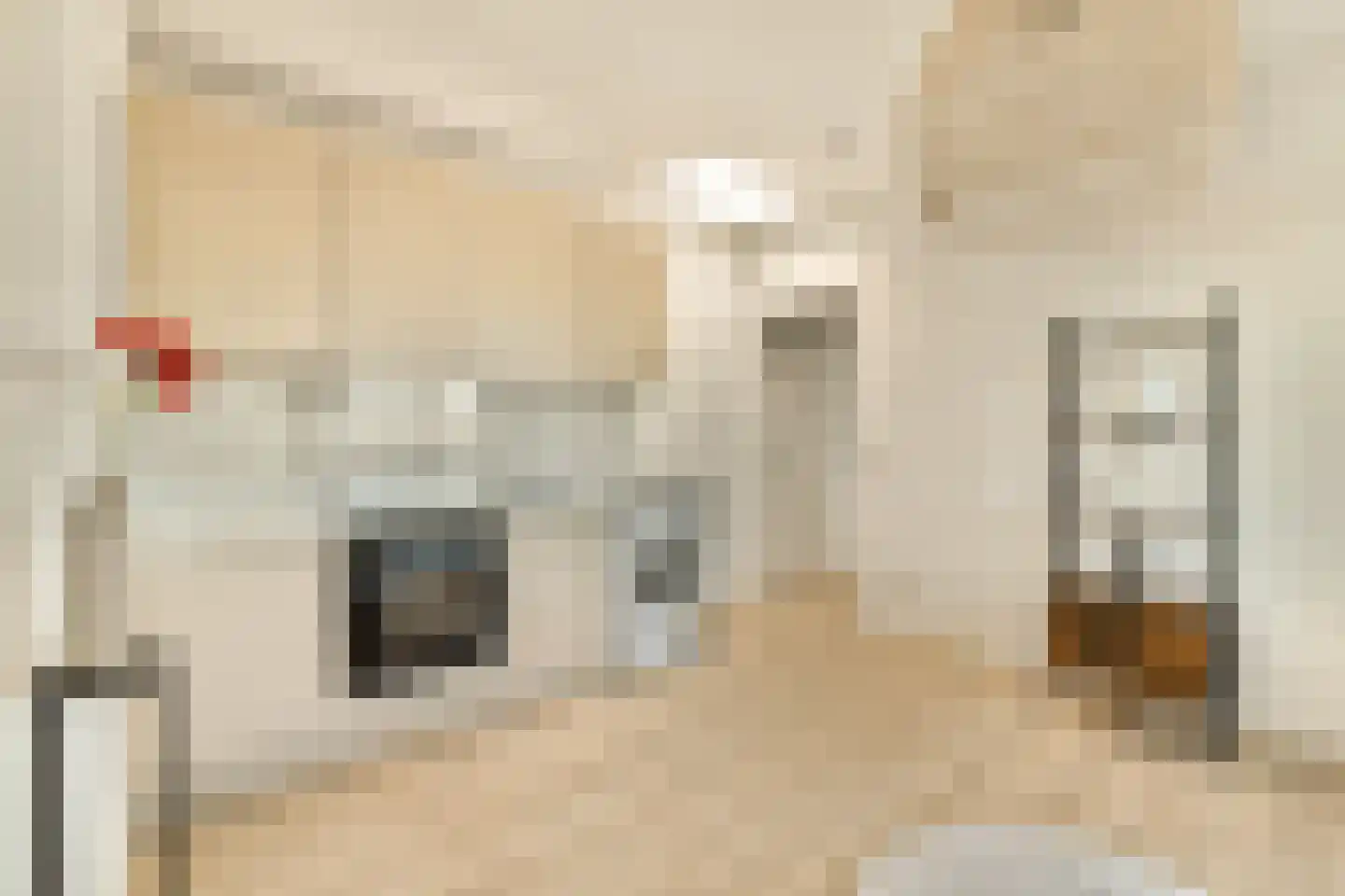 Van Speijkstraat 48 2 Amsterdam thumbnail 23