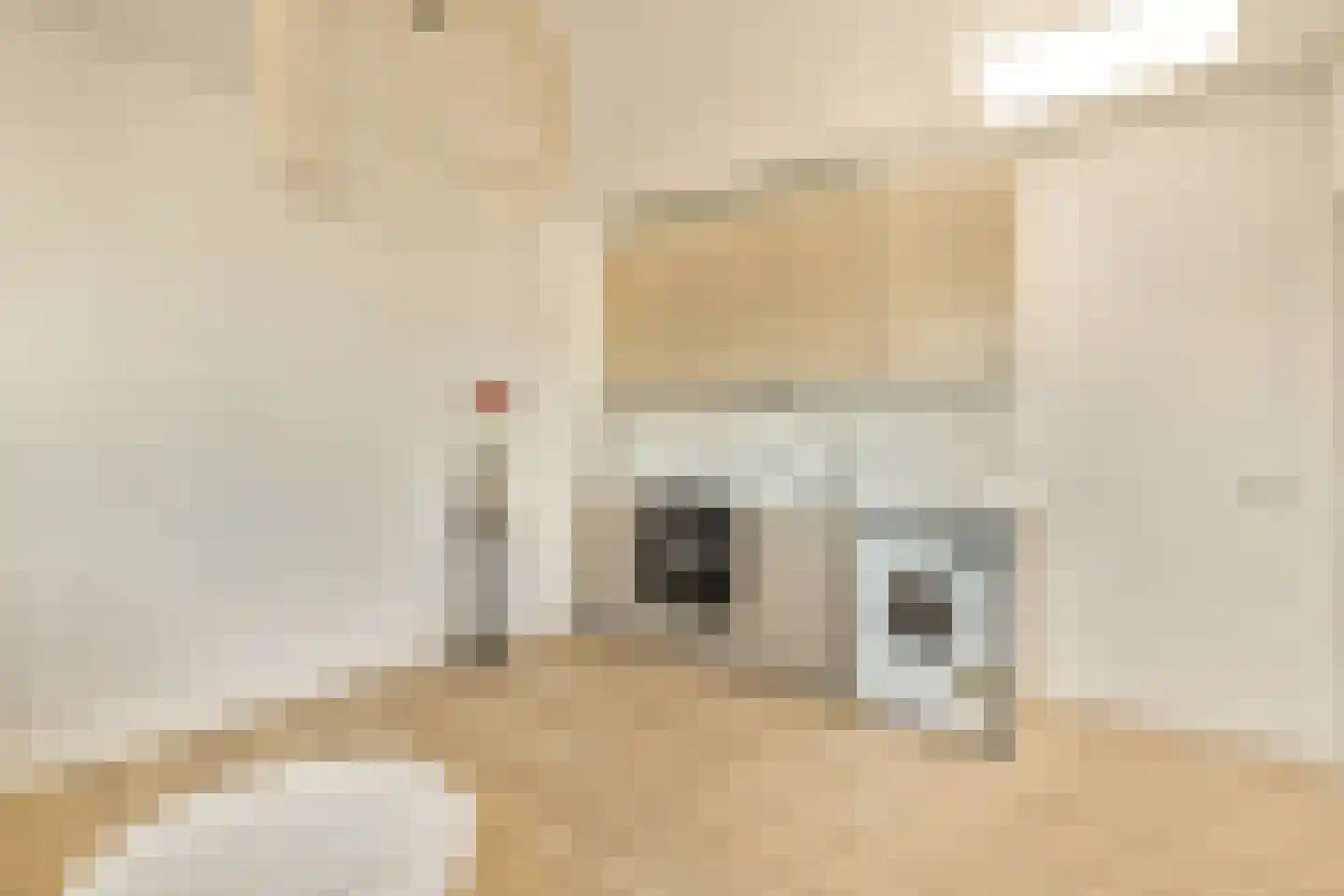 Van Speijkstraat 48 2 Amsterdam thumbnail 25