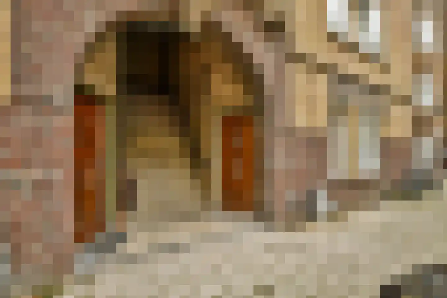 Van Speijkstraat 48 2 Amsterdam thumbnail 35