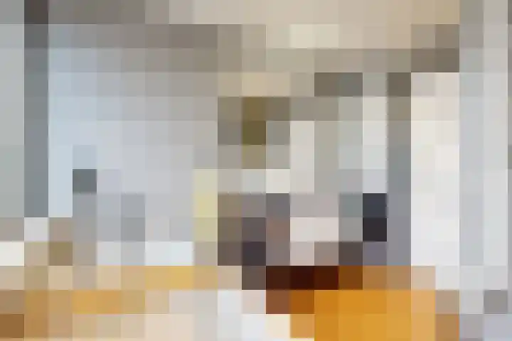 van Speijkstraat 5 Bodegraven thumbnail 17