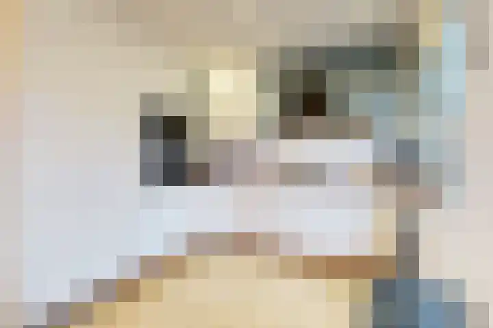 van Speijkstraat 5 Bodegraven foto 3