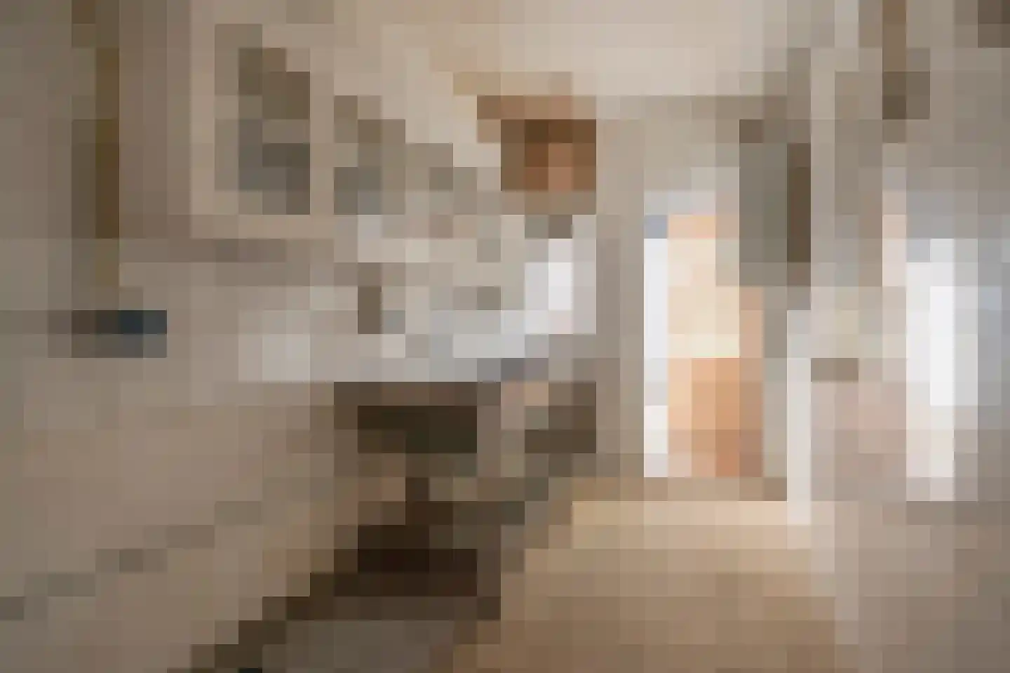 Van Speijkstraat 58 Den Haag thumbnail 27