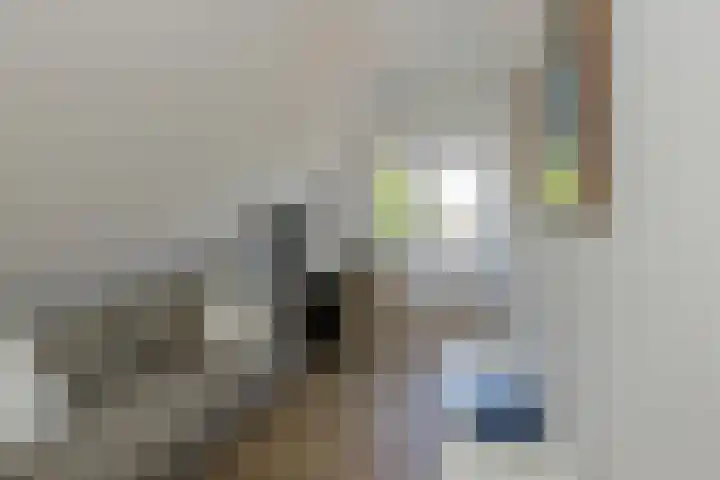 van Speykstraat 1 Lisse thumbnail 35