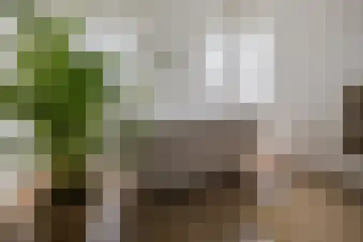 van Speykstraat 1 Lisse thumbnail 37