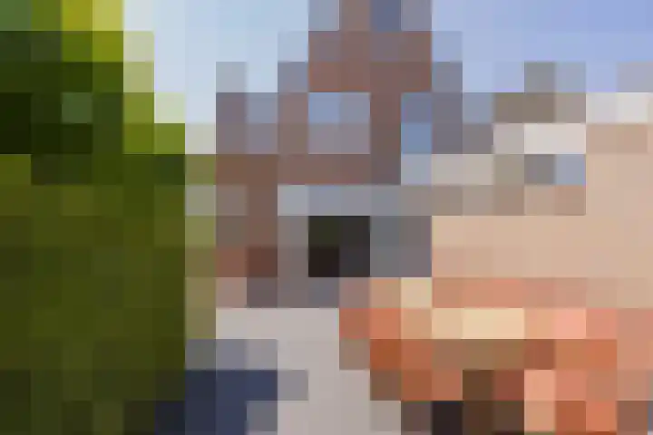 van Speykstraat 1 Lisse thumbnail 51