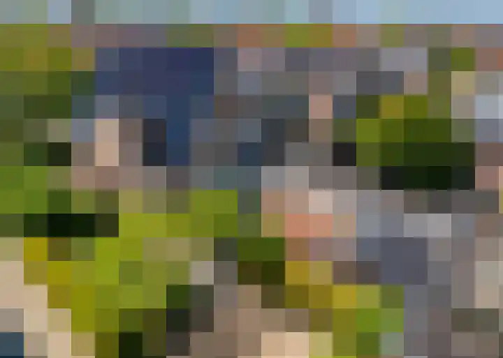 van Speykstraat 1 Lisse thumbnail 6