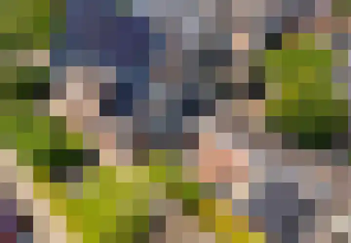 van Speykstraat 1 Lisse thumbnail 64