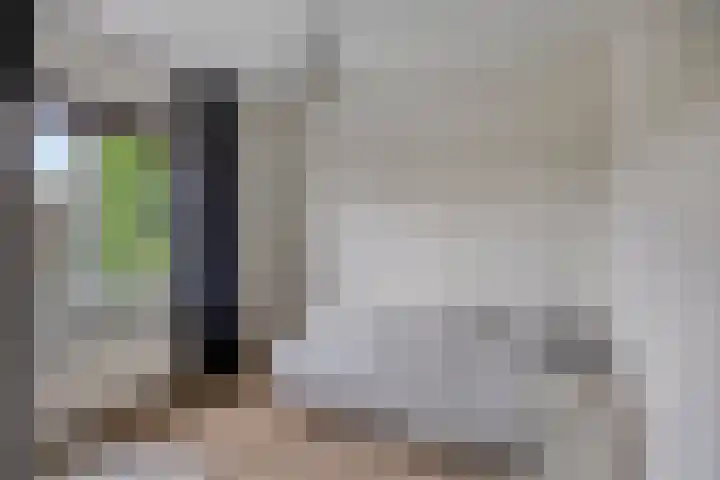 Van Speykstraat 12 Oss thumbnail 15