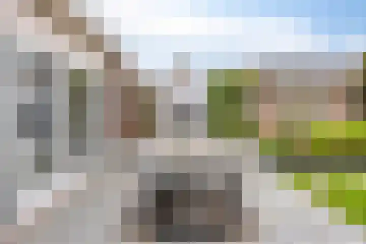 Van Speykstraat 12 Oss thumbnail 22