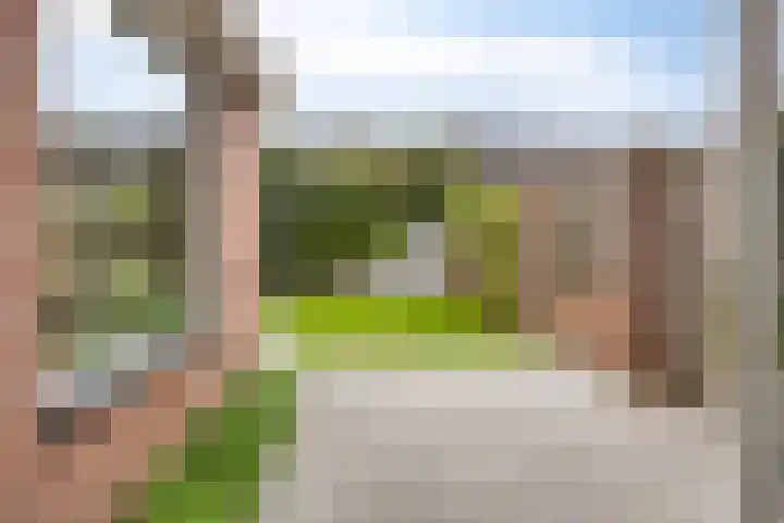 Van Speykstraat 12 Oss thumbnail 23