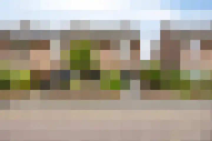 Van Speykstraat 12 Oss thumbnail 26