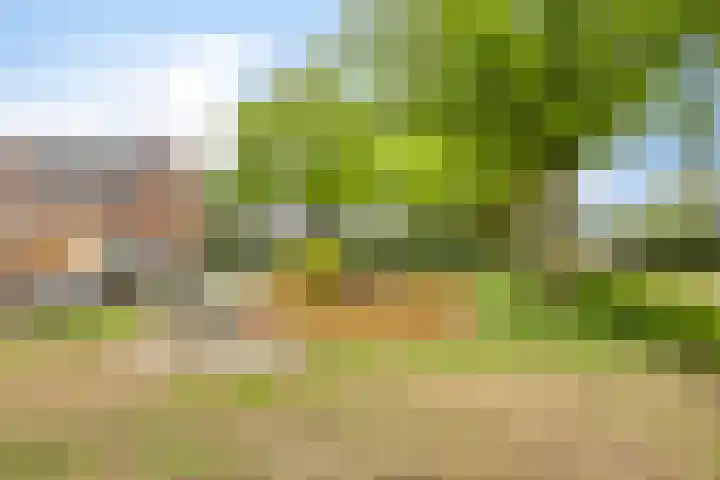 Van Speykstraat 12 Oss thumbnail 29