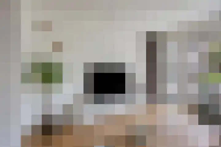 Van Speykstraat 12 Oss thumbnail 4