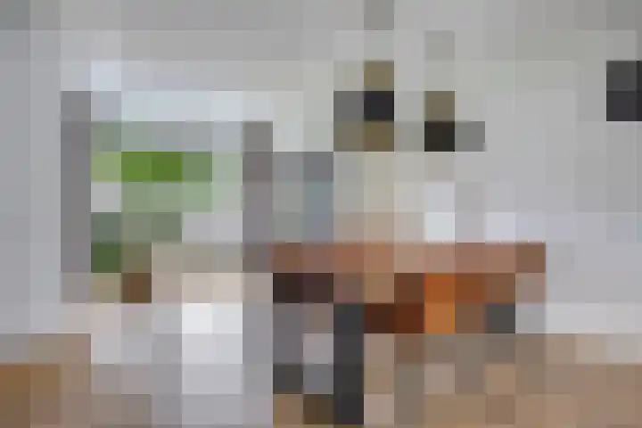 Van Speykstraat 12 Oss thumbnail 5