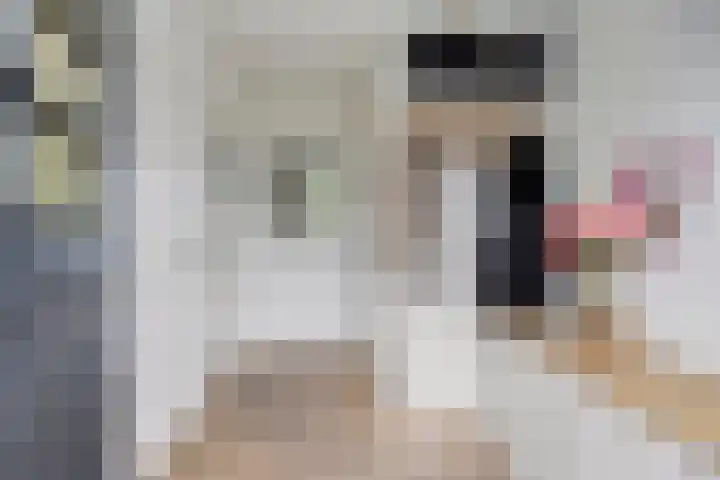Van Speykstraat 12 Oss thumbnail 8