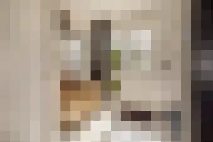 Van Speykstraat 16 Oss thumbnail 19