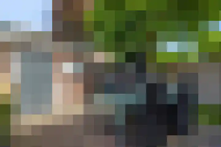 Van Speykstraat 16 Oss thumbnail 22