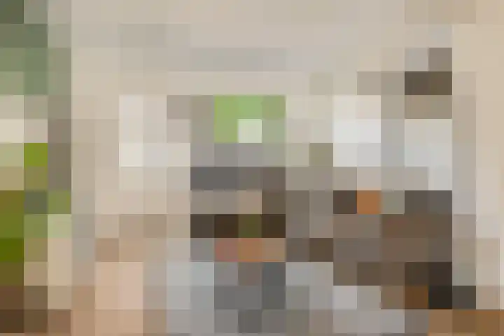 Van Speykstraat 16 Oss thumbnail 5