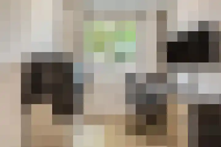 Van Speykstraat 16 Oss thumbnail 9