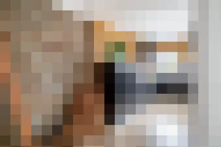 van Speykstraat 4 Lisse thumbnail 13
