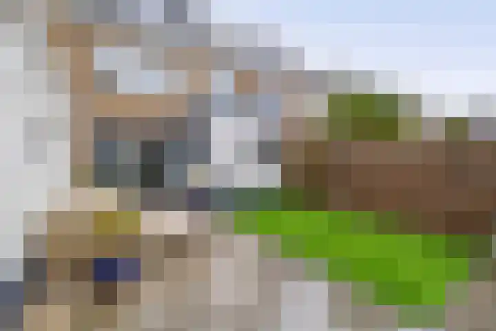 van Speykstraat 4 Lisse thumbnail 35