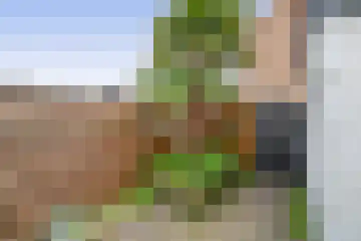 van Speykstraat 4 Lisse thumbnail 37