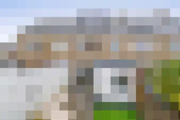 van Speykstraat 4 Lisse thumbnail 40