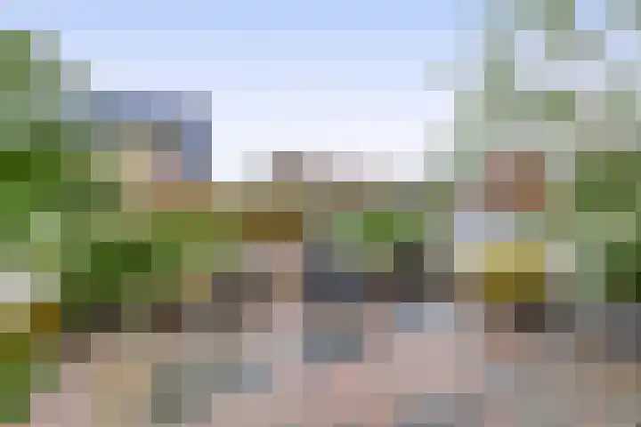 van Speykstraat 4 Lisse thumbnail 49