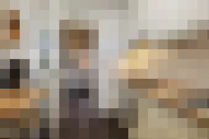 Van Speykstraat 8 Den Helder thumbnail 12