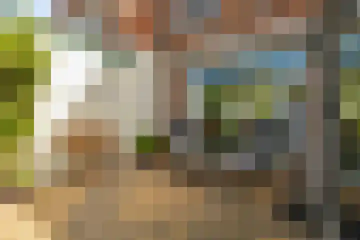 Van Speykstraat 8 Den Helder thumbnail 14