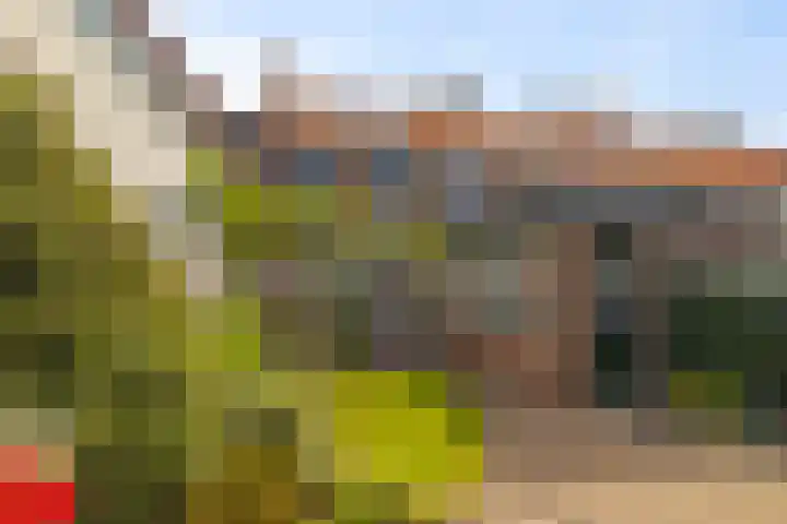 Van Speykstraat 8 Den Helder thumbnail 18